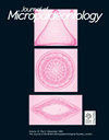 Journal Of Micropalaeontology